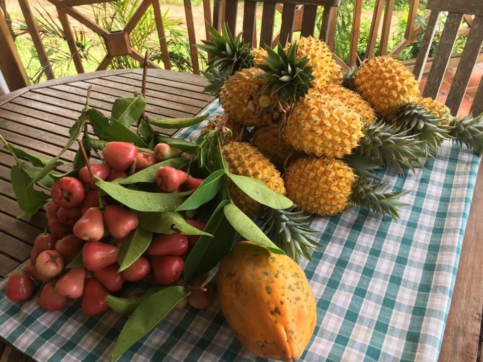הוילה Chez Lauret, A La Montagne מראה חיצוני תמונה