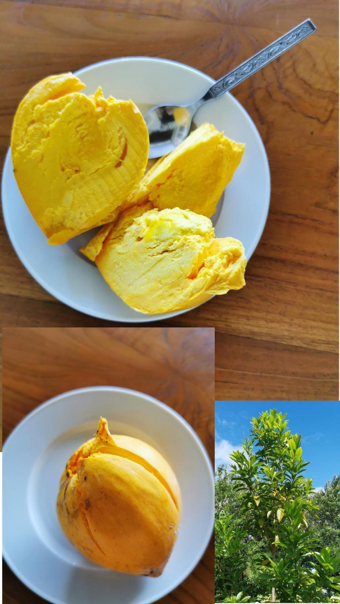 הוילה Chez Lauret, A La Montagne מראה חיצוני תמונה