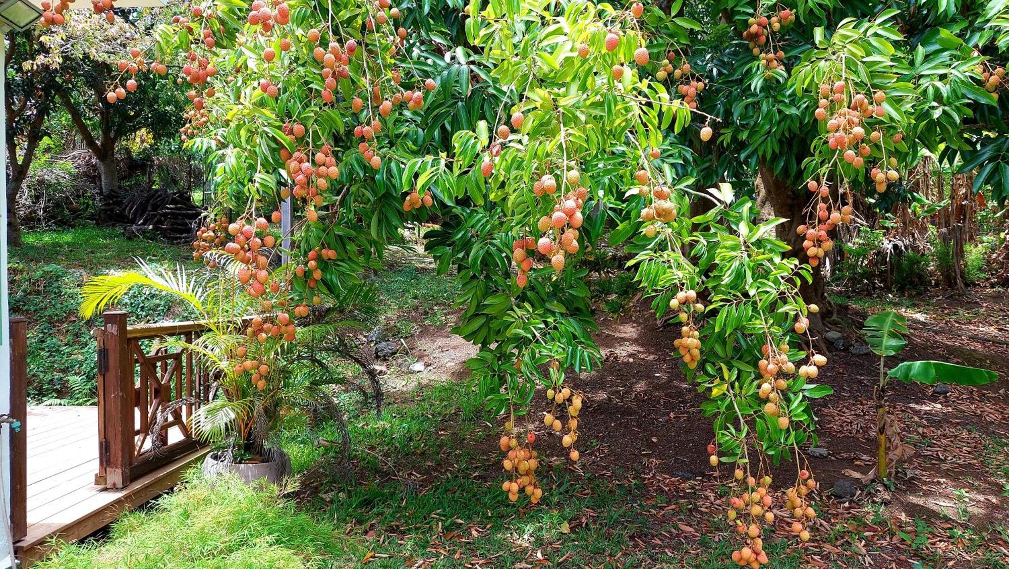 הוילה Chez Lauret, A La Montagne מראה חיצוני תמונה